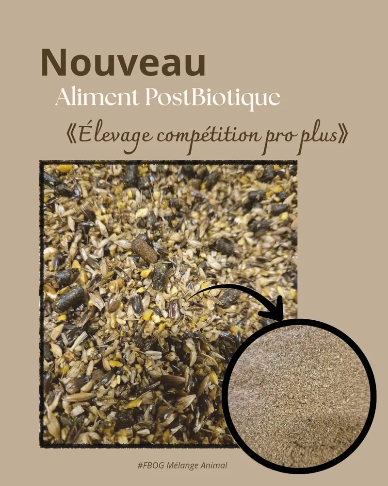 Aliment Post-Biotique FBOG — mélange compétition pro plus pour chevaux de course