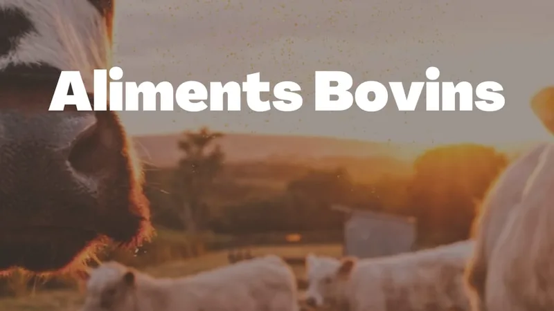 Aliments Bovins FBOG - élevage viande, allaitant et laitier
