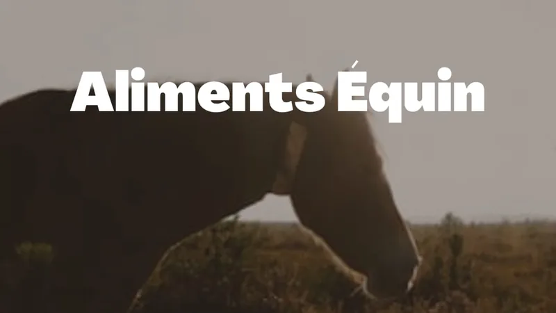 Aliments Équin FBOG - mélanges céréaliers pour chevaux de course et de compétition